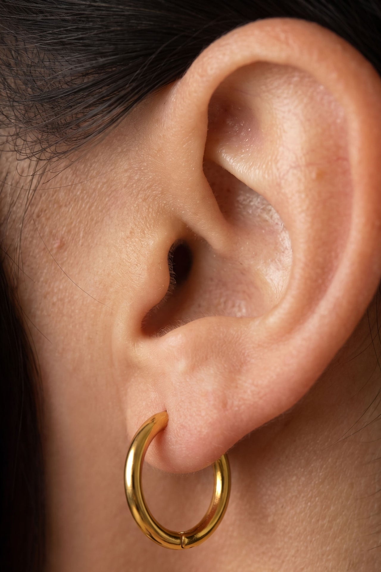 Sienna Classic Hoops